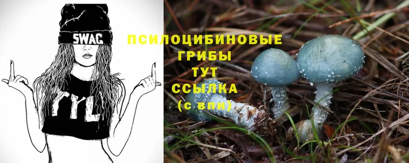 купить наркоту  Нижние Серги  Галлюциногенные грибы MAGIC MUSHROOMS 